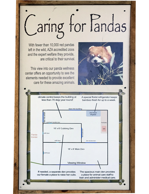 Caring for Pandas