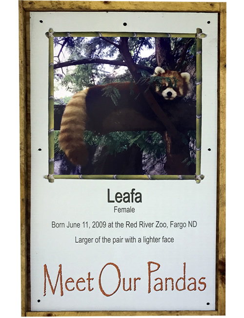 Meat Our Pandas: Leafa