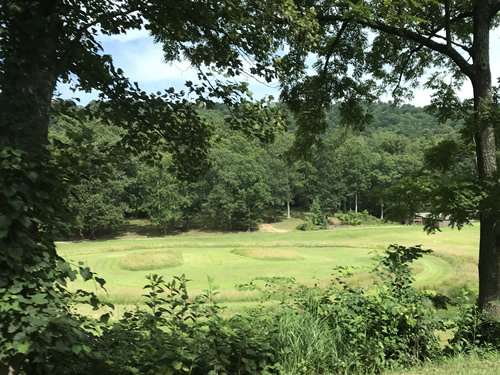 The Grassy Smiley Face is mowed into a field on the side of Sweeten Creek Road