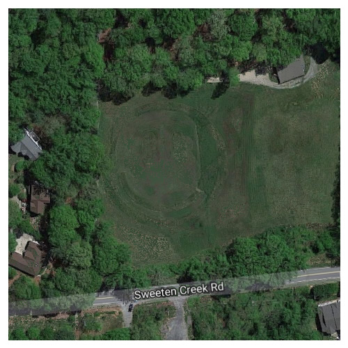 Grassy Smiley Face